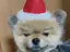 にゃ!のプロフィール画像