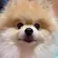 hinaのプロフィール画像