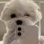 ほのかのプロフィール画像