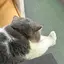 ハシモトのプロフィール画像
