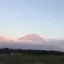 threeのプロフィール画像