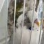 まりぴのプロフィール画像