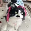 ねねのプロフィール画像