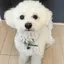あやてぃんのプロフィール画像