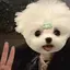 ほののプロフィール画像