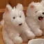 minaのプロフィール画像