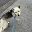 みーのプロフィール画像