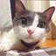 聖子のプロフィール画像