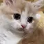 カホのプロフィール画像