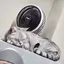 きゃりのプロフィール画像