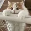 りりのプロフィール画像