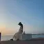 mのプロフィール画像