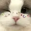 KYOKAのプロフィール画像