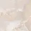 mizukiのプロフィール画像