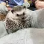 みづきのプロフィール画像