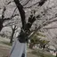めぐみのプロフィール画像