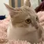 なおのプロフィール画像
