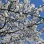 ＮＡのプロフィール画像