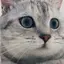 ユッキのプロフィール画像