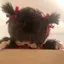 んちゃのプロフィール画像