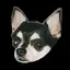 ゆかのプロフィール画像