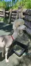 とものプロフィール画像