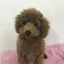 ぼんママのプロフィール画像