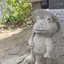 飛鳥のプロフィール画像