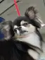 花のプロフィール画像