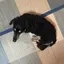 Nanaのプロフィール画像