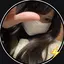 保恵のプロフィール画像