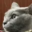 ぴーのプロフィール画像
