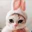 ゆのプロフィール画像