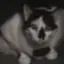 玲のプロフィール画像