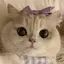 𝓡のプロフィール画像