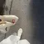 aのプロフィール画像