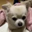 さなのプロフィール画像