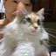 タッキーのプロフィール画像