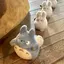 てまねきのプロフィール画像