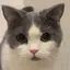Lのプロフィール画像