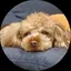 tentenのプロフィール画像