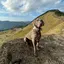 ミライのプロフィール画像