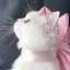にーこのプロフィール画像