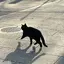 ハルナのプロフィール画像