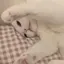 ゆのプロフィール画像