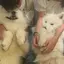 rinosouのプロフィール画像