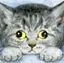 つくるのプロフィール画像