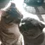 ゆうじのプロフィール画像