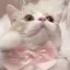 もーものプロフィール画像