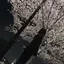 佑季のプロフィール画像